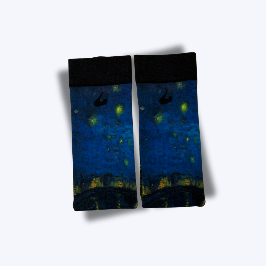 Starry Night Over the Rhône